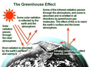 Information on how the greenhouse affect effects the earth.