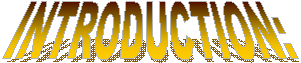 INTRODUCTION: