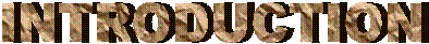 INTRODUCTION