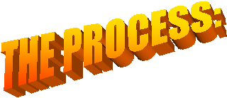 THE PROCESS: 

