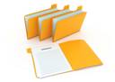 HomeDir:s18:Desktop:yellow-organizing-folders.jpg
