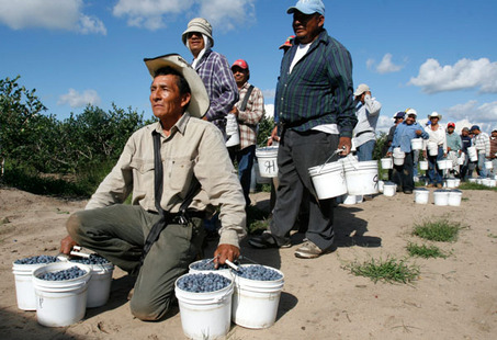 http://blog.mlive.com/kzgazette/2008/08/large_MigrantWorkersA.jpg