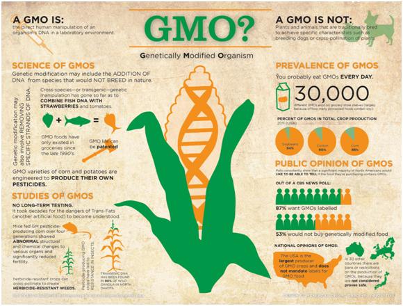 GMO.jpg