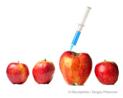 apples.jpg