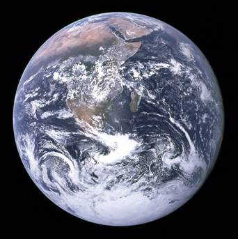 Image result for endangered earth