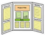 Image result for poster board project