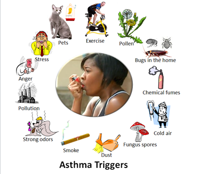 http://upload.wikimedia.org/wikipedia/commons/9/97/Asthma_triggers_2.PNG