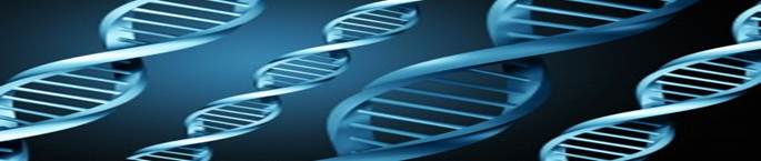 http://www.geneticology.com/wp-content/uploads/2009/08/genetic-testing-300x199.jpg