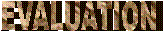 EVALUATION