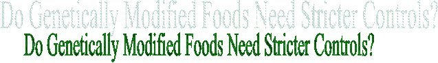 Do Genetically Modified Foods Need Stricter Controls?